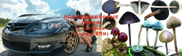 МДПВ Алзамай